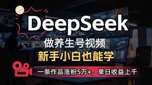 小白用DeepSeek做养生号，一条作品涨粉5万+，单日收益上千-小毅网创
