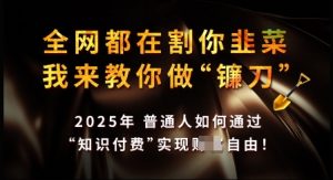 知识付费如何做到月入过W+，2025我来教你做“镰刀”【揭秘】-小毅网创