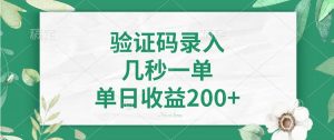 验证码录入，几秒一单，单日收益200+-小毅网创