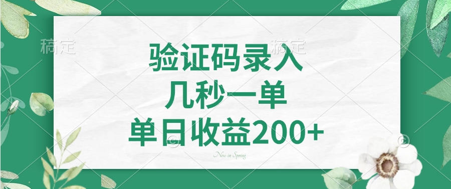 验证码录入，几秒一单，单日收益200+ - 小毅网创-小毅网创