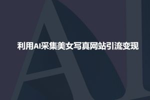 利用AI采集美女写真网站引流变现，引流嘎嘎的-小毅网创
