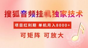 首发搜狐音频挂JI，项目红利期，可矩阵可放大，稳定月入5k【揭秘】-小毅网创