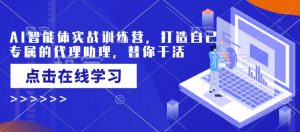 AI智能体实战训练营，打造自己专属的代理助理，替你干活-小毅网创