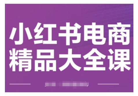 小红书电商精品大全课,快速掌握小红书运营技巧,实现精准引流与爆单目标,轻松玩转小红书电商(更新2月) - 小毅网创-小毅网创