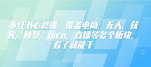 小红书必修课，覆盖电商，无人，获客，种草，mcn，直播等多个板块，看了就能干-小毅网创