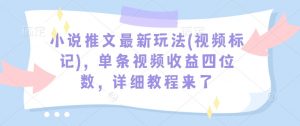 小说推文最新玩法(视频标记)，单条视频收益四位数，详细教程来了-小毅网创