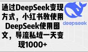 通过DeepSeek变现方式，小红书教使用DeepSeek图文，导流私域一天变现1000+-小毅网创