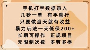 手机打字数据录入,几秒一单,有手就行,只要做当天就有收益,暴力玩法一天低保2张-小毅网创