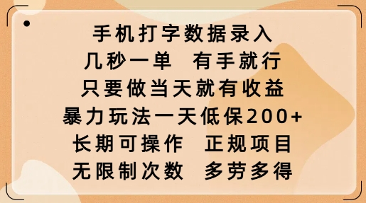 手机打字数据录入,几秒一单,有手就行,只要做当天就有收益,暴力玩法一天低保2张 - 小毅网创-小毅网创