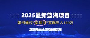 2025最新蓝海项目，零门槛轻松复制，月入10万+，新手也能操作！-小毅网创