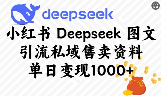小红书Deepseek图文引流私域售卖资料,单日变现多张 - 小毅网创-小毅网创