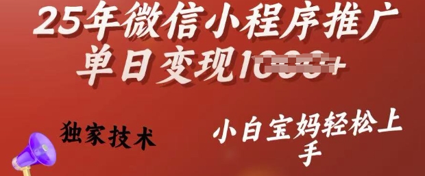 25年微信小程序推广单日变现多张，独家技术，小白宝妈轻松上手【揭秘】 - 小毅网创-小毅网创