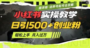2月小红书最新日引500+创业粉实操教学【超详细】小白轻松上手，月入1W+，附小红书养号起号SOP-小毅网创