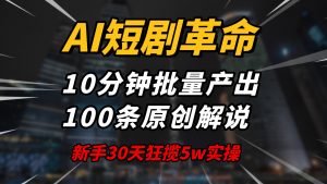 AI短剧革命！10分钟批量产出100条原创解说，新手30天狂揽5w实操揭秘-小毅网创