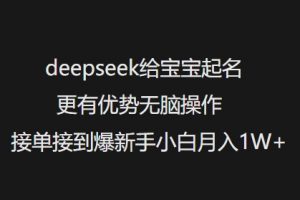 deepseek给宝宝起名更有优势无脑操作接单接到爆新手小白月入1W+-小毅网创
