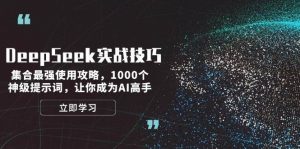 DeepSeek实战技巧:集合最强使用攻略,1000个神级提示词,让你成为AI高手-小毅网创