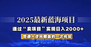 2025年蓝海项目，如何通过“网创项目”日入2000+-小毅网创