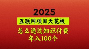 2025项目天花板，普通怎么通过知识付费翻身，年入百个【揭秘】-小毅网创