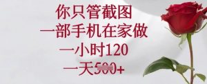 你只管截图，一部手机在家做，一小时120.一天5张【揭秘】-小毅网创