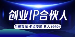 云帆·创业ip合伙人打造3.0，从0到1教你做网创，实现月入过W-小毅网创
