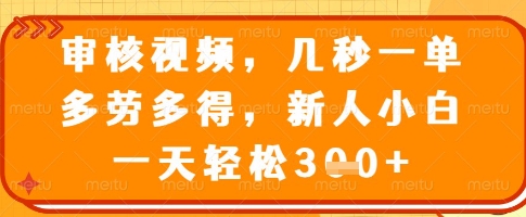 审核视频，几秒一单，多劳多得，新人小白一天轻松3张【揭秘】 - 小毅网创-小毅网创