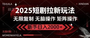 2025短剧拉新玩法，无需注册登录，无限0撸，无脑批量操作日入2000+-小毅网创