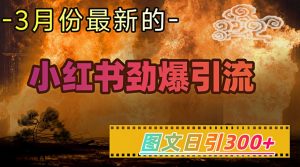 小红书超劲爆引流手段，图文日引300+轻松变现1W-小毅网创