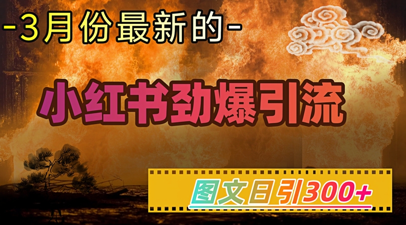 小红书超劲爆引流手段，图文日引300+轻松变现1W - 小毅网创-小毅网创