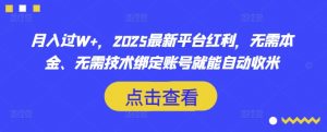 月入过W+，2025最新平台红利，无需本金、无需技术绑定账号就能自动收米-小毅网创