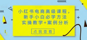 小红书电商高级课程，新手小白必学方法，实操教学+案例分析-小毅网创