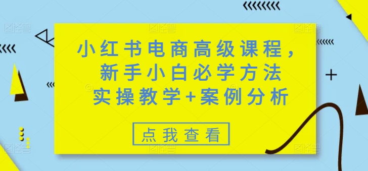 小红书电商高级课程，新手小白必学方法，实操教学+案例分析 - 小毅网创-小毅网创