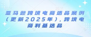 亚马逊跨境电商选品案例(更新2025年3月)，跨境电商利基选品-小毅网创