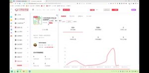 2025小红书虚拟电商实战课-小毅网创