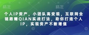 个人IP资产,小团队高变现,互联网全链路赚QIAN实战打法,助你打造个人IP,实现资产不断增值-小毅网创