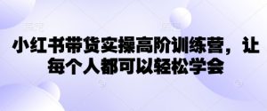 小红书带货实操高阶训练营，让每个人都可以轻松学会-小毅网创