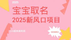 2025新风口项目宝宝取名，0成本高利润，附保姆级教程，月入过万不是梦-小毅网创