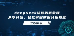 deepSeek快速驯服教程，从零开始，轻松掌握数据分析技能-小毅网创
