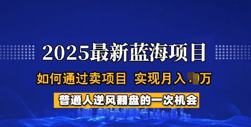 2025蓝海项目,普通人如何通过卖项目,实现月入过W,全过程【揭秘】 - 小毅网创-小毅网创