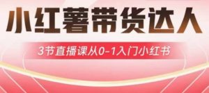 小红薯达人带货启航计划，3节直播课从0-1入门小红书-小毅网创