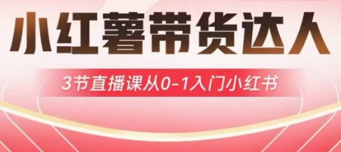 小红薯达人带货启航计划，3节直播课从0-1入门小红书 - 小毅网创-小毅网创