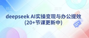 deepseek AI实操变现与办公提效(20+节课更新中)-小毅网创