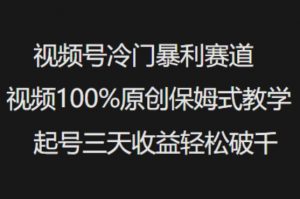 视频号冷门暴利赛道视频100%原创保姆式教学起号三天收益轻松破千-小毅网创