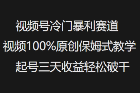 视频号冷门暴利赛道视频100%原创保姆式教学起号三天收益轻松破千 - 小毅网创-小毅网创