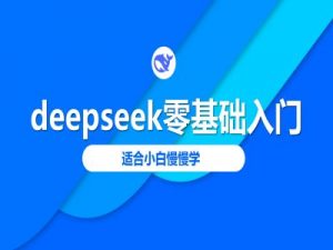 deepseek零基础入门-deepseek教程2025，适合小白慢慢学-小毅网创