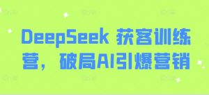 DeepSeek 获客训练营,破局AI引爆营销-小毅网创