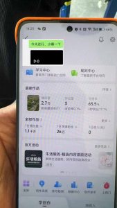 抖音暴力涨粉技术：一天轻松1-10万粉，技术不确定真实性，自测-小毅网创