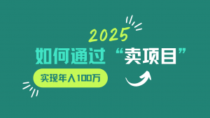 2025年如何通过“卖项目”实现年入100w-小毅网创