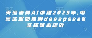 天诺老吴AI课程2025年,电商企业如何用deeepseek实现降本提效-小毅网创