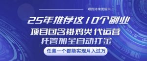 25年推荐这10个副业项目包含褂鸡类、代运营托管类、全自动打金类【揭秘】-小毅网创