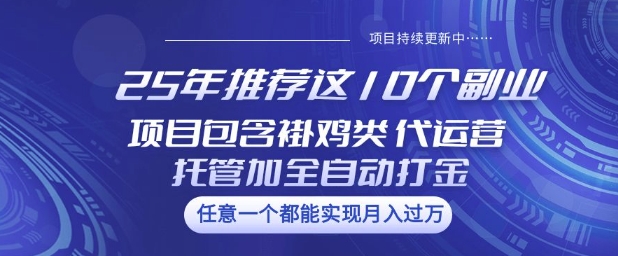 25年推荐这10个副业项目包含褂鸡类、代运营托管类、全自动打金类【揭秘】 - 小毅网创-小毅网创